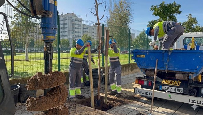 Plantaciones en el Distrito Este-Alcosa-Torreblanca.