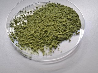 Ivace+i Innovación financia un proceso pionero para obtener ingredientes naturales, bioactivos y sostenibles a partir de algas