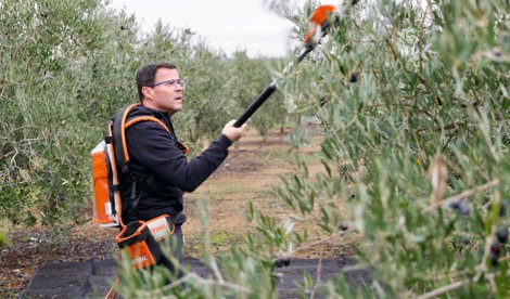 notibrasil política
