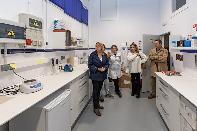 Archivo - Laboratorio del CIFA