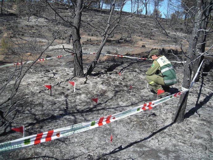 Integrantes de la Brigada de Investigación de Delitos Ambientales (BRIDA) del Cuerpo de Agentes Medioambientales de la Región de Murcia, investigan las causas de un incendio (imagen de archivo).