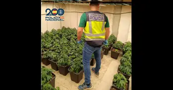 Detenidas tres personas, un matrimonio y su hijo, por vender droga en Torrent