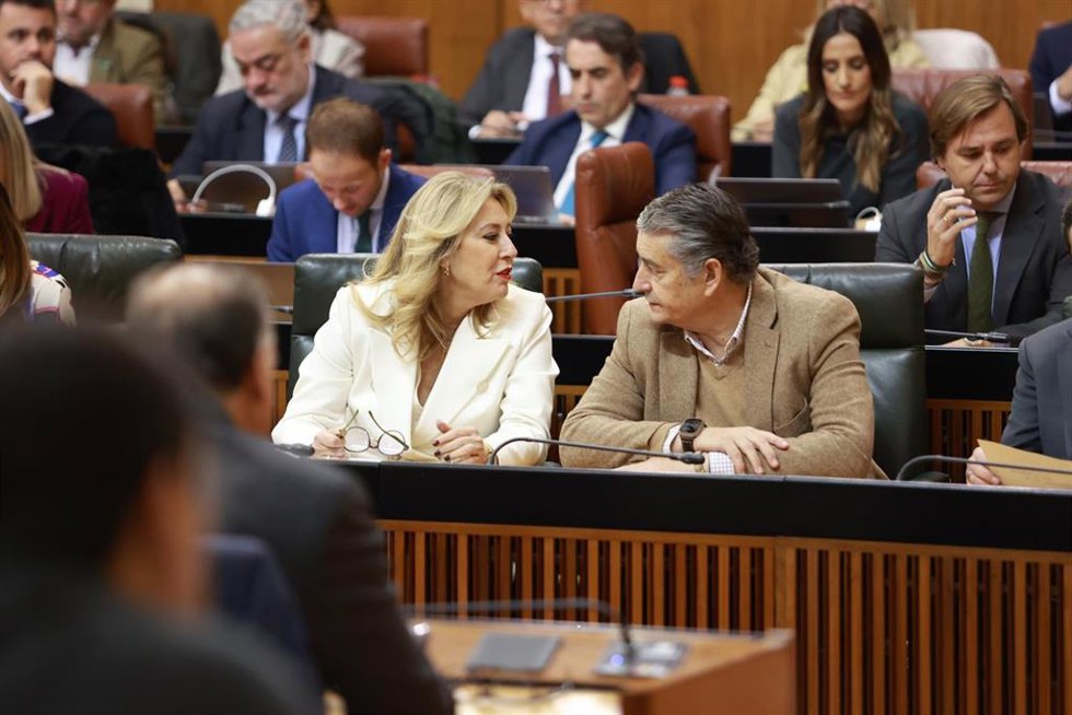 La consejera de Economía, Carolina España, y el consejero de Sanidad, Antonio Sanz, en una imagen de archivo en el Parlamento. 