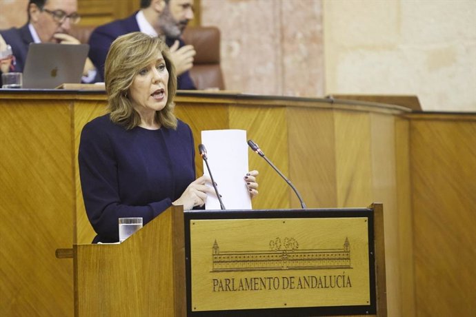 La parlamentaria del PSOE-A Ana María Romero, en una foto de archivo en el Pleno del Parlamento andaluz.