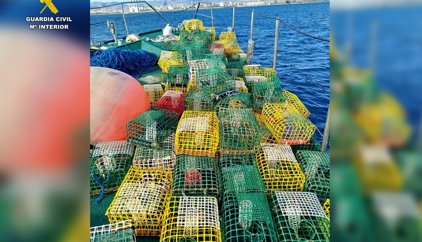 La Guardia Civil retira 109 nasas ilegales para la captura de pulpo frente a la costa de Torre de la Horadada