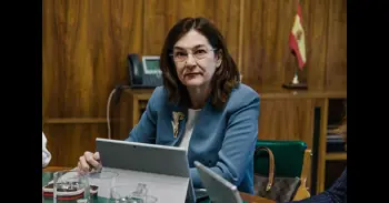 La CNMC busca una solución a las objeciones del Consejo de Estado al modelo retributivo de redes eléctricas