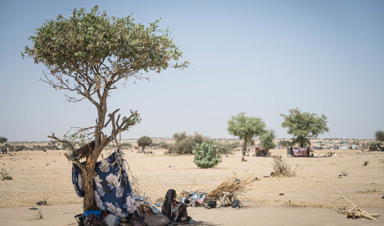 notibrasil sociedade