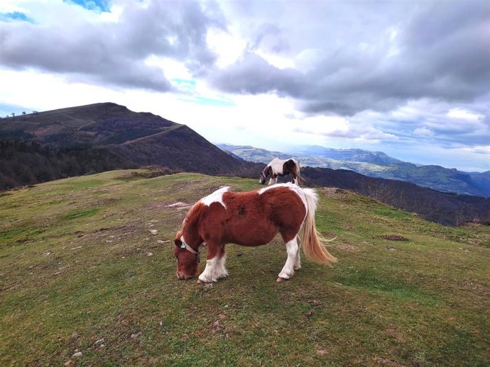 Cielo muy nuboso en el monte Kolitza, en Balmaseda (Bizkaia)
