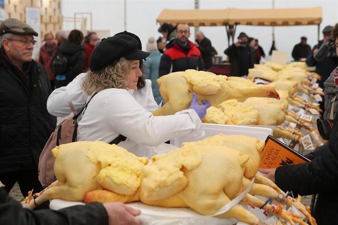 Cientos de ejemplares de capón en la Feria del Capón de Vilalba (Lugo)