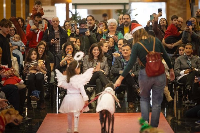 Un momento del desfile de la II Fashion Pet Christmas celebrada este domingo en el Auditorio de Zaragoza.