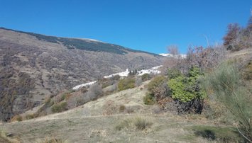 Es Andalucía - Sevilla