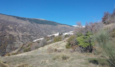 Es Andalucía - Sevilla