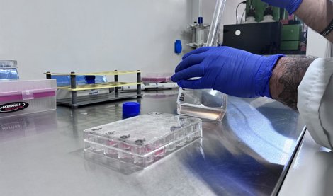 Es Andalucía - Sevilla