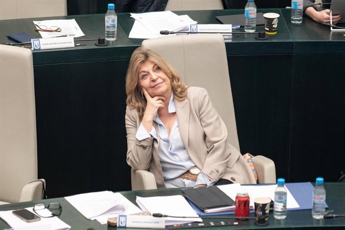 Archivo - La Consejera de Economía, Empleo y Hacienda de la Comunidad de Madrid, Engracia Hidalgo, durante un pleno en el Ayuntamiento de Madrid