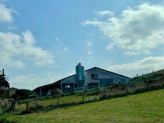 Archivo - Ganadería de Valdés.