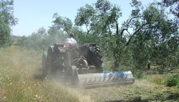 Es Andalucía - Sevilla