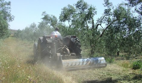 Es Andalucía - Sevilla