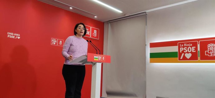 Archivo - La diputada nacional del PSOE, Elisa Garrido, en comparecencia de prensa