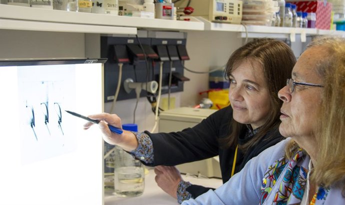 Imagen de las autoras de la investigación.