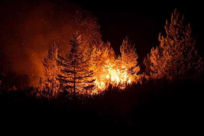 Archivo - Vista del fuego, a 22 de agosto de 2025, en Argayo, León, Castilla y León (España). 