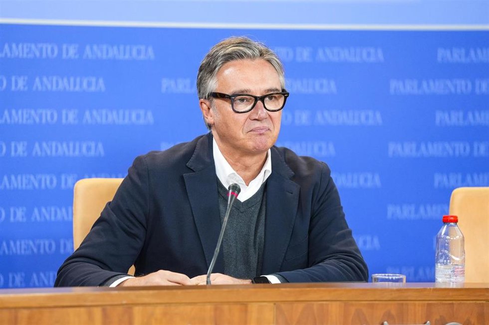 El portavoz del Grupo Parlamentario Vox Andalucía, Manuel Gavira