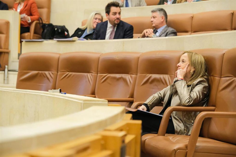 Isabel Urrutia, consejera de Presidencia y Justicia, en el Pleno del Parlamento de Cantabria