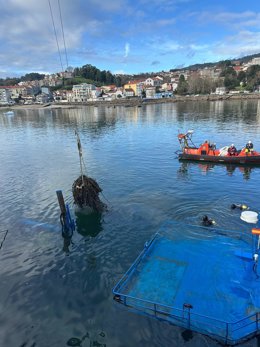 Vídeo de la noticia