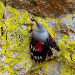 Es Andalucía - Huelva
