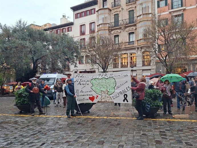 Vecinos y entidades piden a Cort "asumir responsabilidades" por la tala de bellasombras del barrio de la Calatrava de Palma