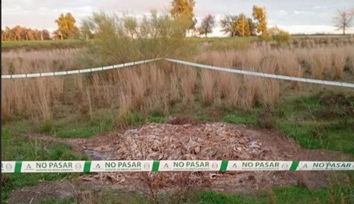 Aves muertas encontradas en Alcalá de Guadaíra (Sevilla)