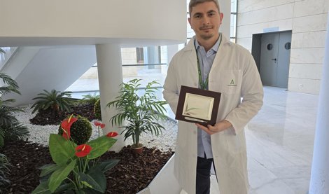 Es Andalucía - Granada