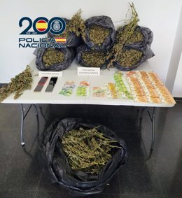 Desarticulan un grupo dedicado al cultivo 'indoor' de marihuana y detienen a tres personas en Petrer (Alicante)