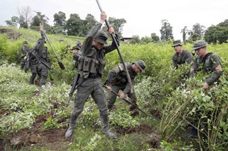 Archivo - Militares colombianos intervienen en una plantación de hoja de coca en Colombia.