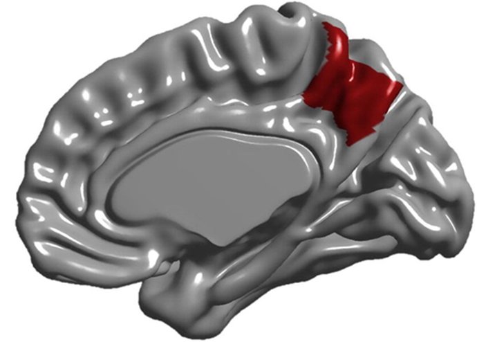 O precursor, destacado em vermelho.