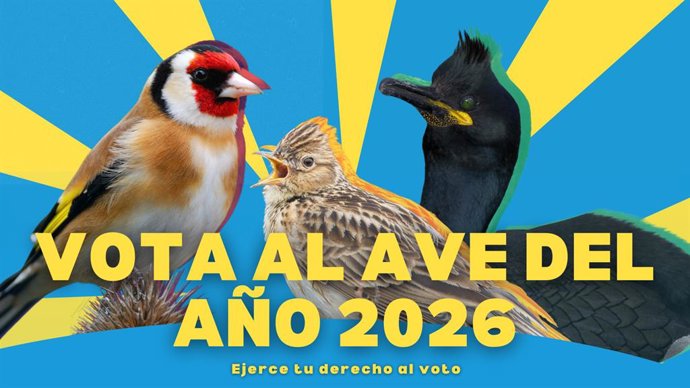 Ave del año 2026