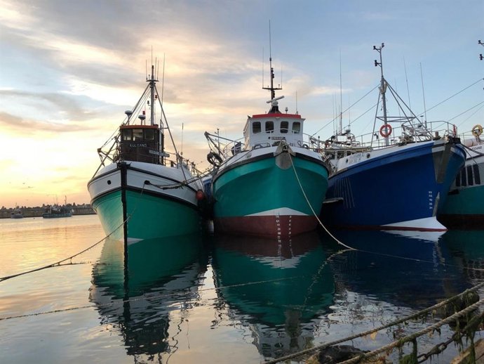 La Consejería de Agricultura, Pesca, Agua y Desarrollo Rural de la Junta de Andalucía destina medio millón de euros a nuevas ayudas para el fomento de la pesca sostenible.