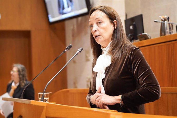 La consejera de Bienestar Social y Familia, Carmen Susín.