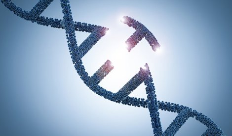 notibrasil sociedade