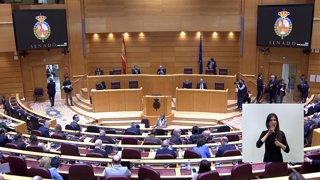 El Senado lleva al Gobierno ante el Constitucional por no presentar los Presupue