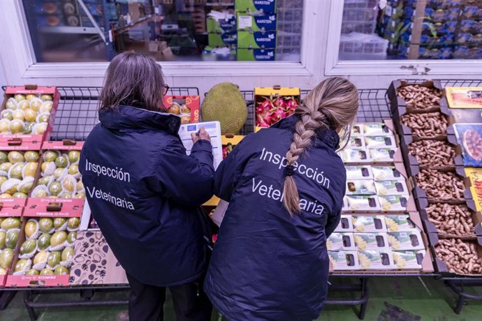 El plan municipal de inspecciones de salud pública realizará en 2026 hasta 20.000 actuaciones y recogerá 5.000 muestras