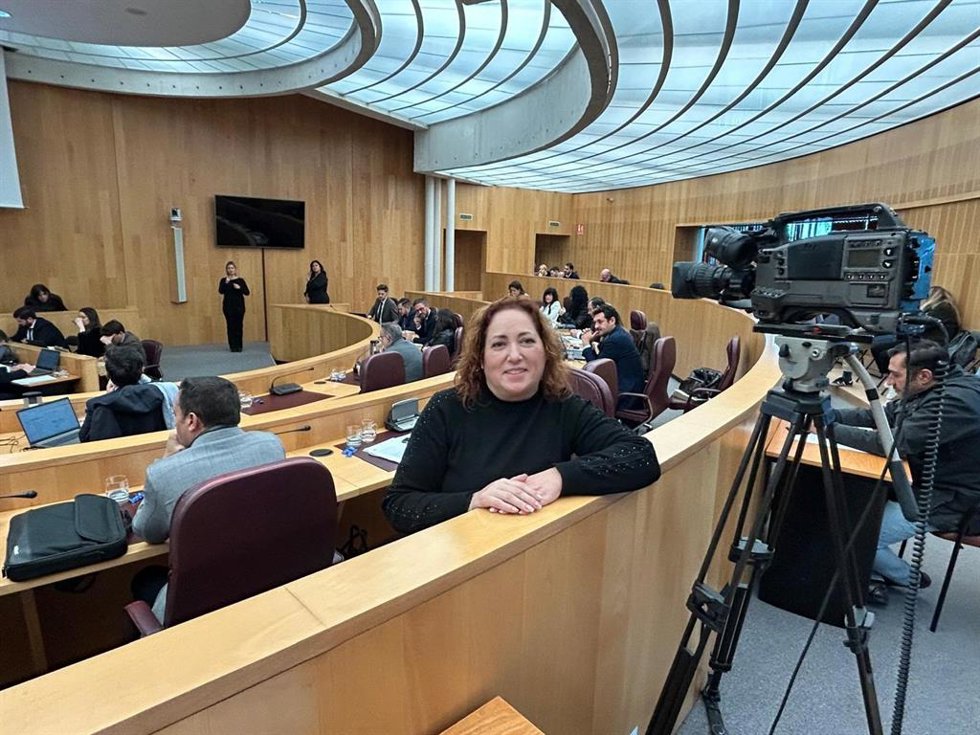 La diputada provincial de IU en Granada, Mari Carmen Pérez