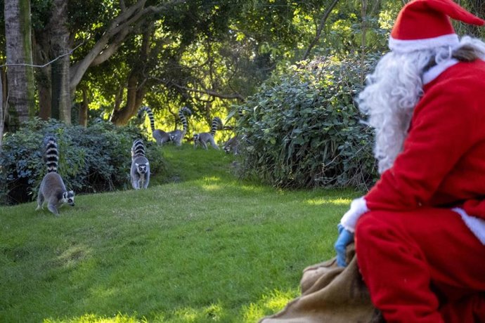 Vídeo de la noticia