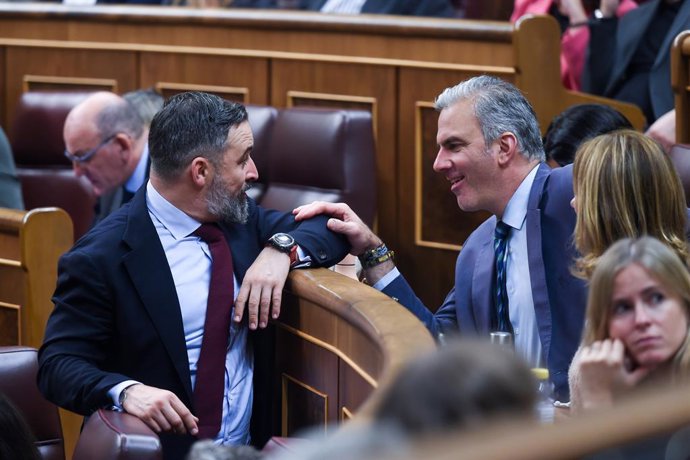 Archivo - Arxiu - El líder de VOX, Santiago Abascal (e) i el portaveu del Grup Municipal VOX, Javier Ortega Smith (d), conversen durant un ple en el Congrés dels Diputats, a 29 d'octubre del 2024, a Madrid (Espanya).