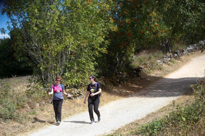 Archivo - Peregrinas realizando el Camino de Santiago