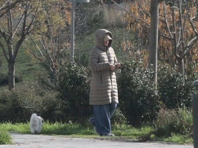 Tamara Falcó desata críticas por pasear a sus cinco perros sueltos y sin correa