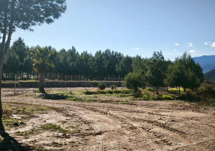 La Generalitat retira 800 tones d'enderrocs procedents de la dana a Torís