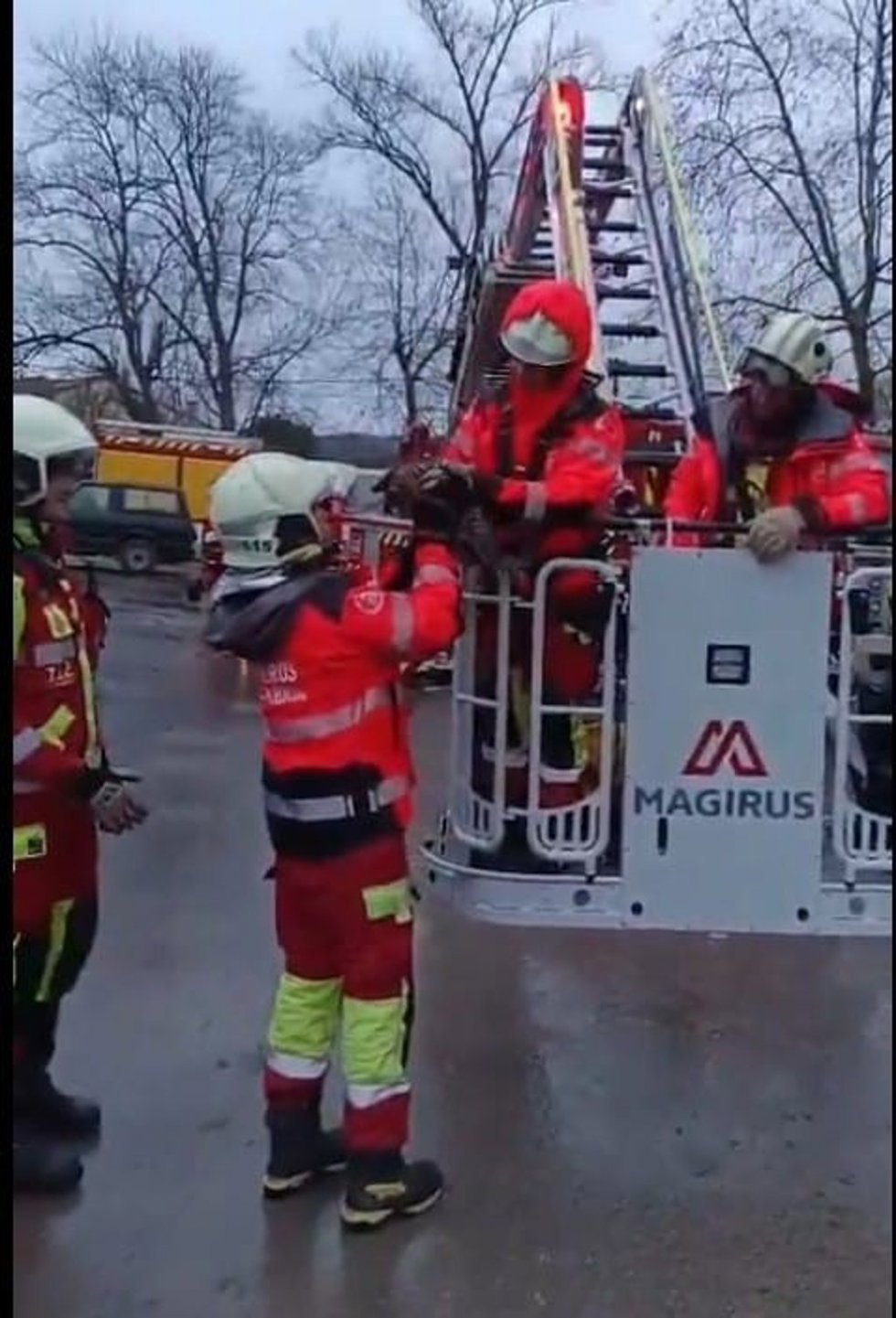 Bomberos rescatan un gato en Hazas de Cesto