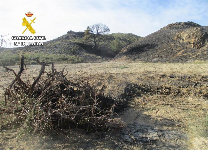 Incendio forestal de más de dos hectáreas en Lorca
