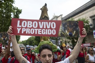 Archivo - Varias personas durante una nueva manifestación para exigir la protección del lobo ibérico, a 22 de junio de 2025, en Madrid (España). La protesta está convocada por decenas de colectivos ecologistas y animalistas, con el apoyo de organizaciones