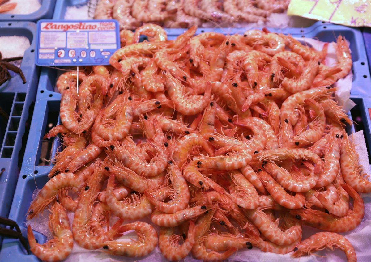 Langostinos, cardo y crema de mariscos, la Navidad llega a los menús de los centros hospitalarios